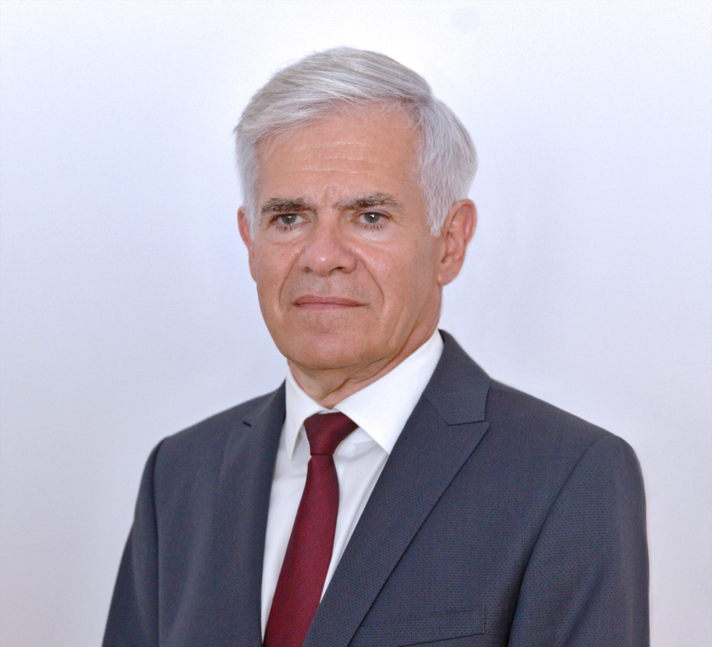 prof. dr hab. inż. Witold Elsner